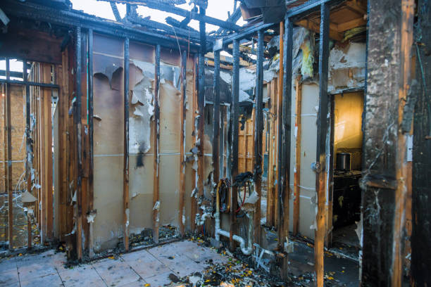 Professional Smoke Damage Removal technician working in Bay Hill, FL